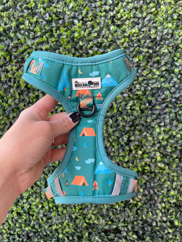 Adventure-ready essentials for dogs and their humans